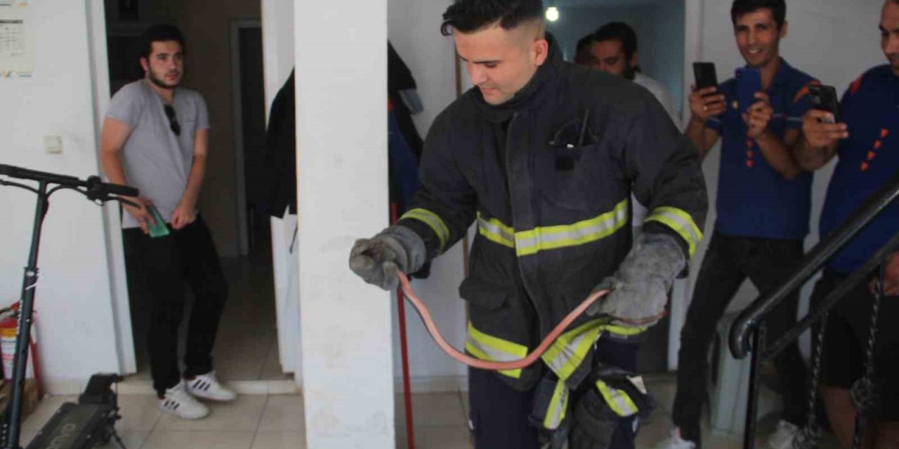 Kargo şubesine giren yılan, itfaiye ekipleri ve çalışanlara zor anlar yaşattı