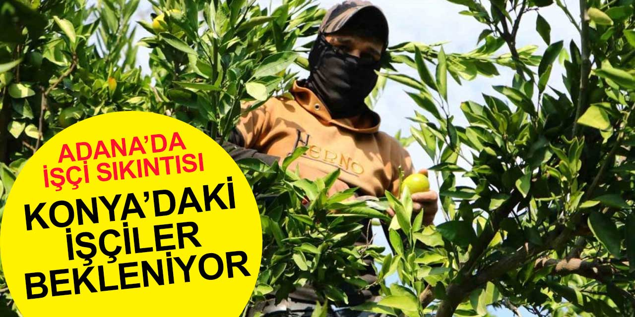 Adana'daki tüccarlar ve çiftçiler Konya'daki işçileri bekliyor