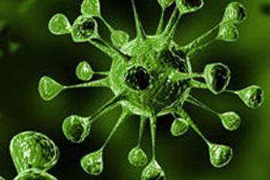 Kanserde korkutan rakamlar