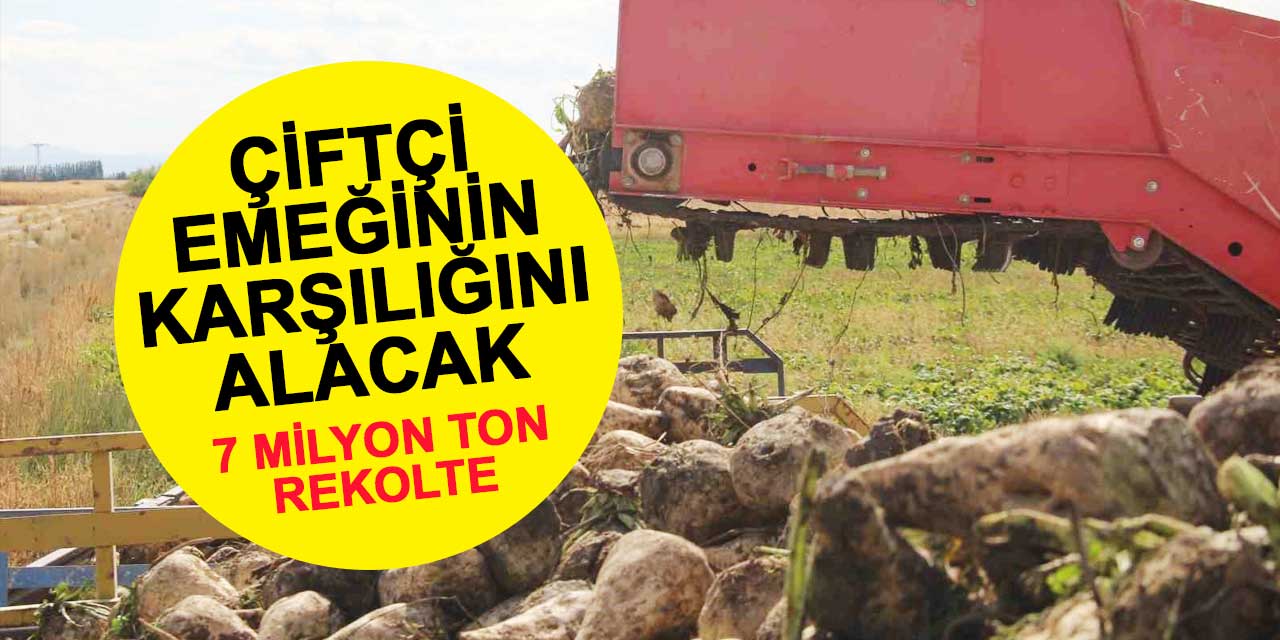 Konyalı çiftçi emeğinin karşılığını şeker pancarından alacak