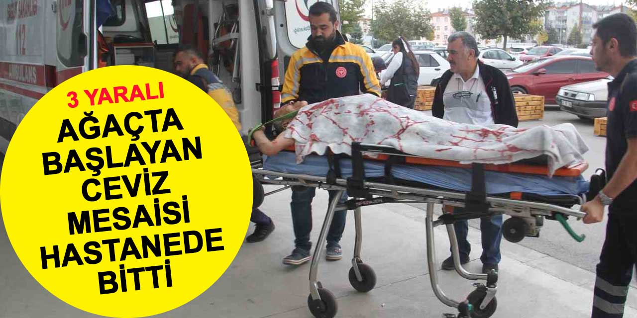 Konya'da ağaçta başlayan ceviz mesaisi hastanede bitti