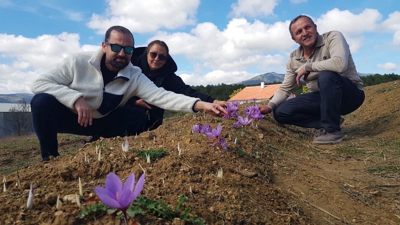 Binbir zahmeti var: Bir kilosu bir araba parası