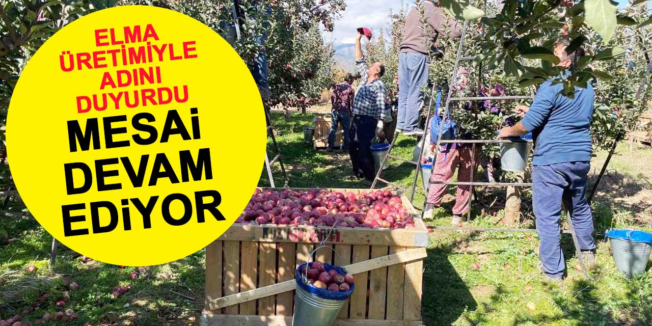 Konya'da elma üretimi ile adını duyuran Gölyaka Mahallesi'nde hasat devam ediyor