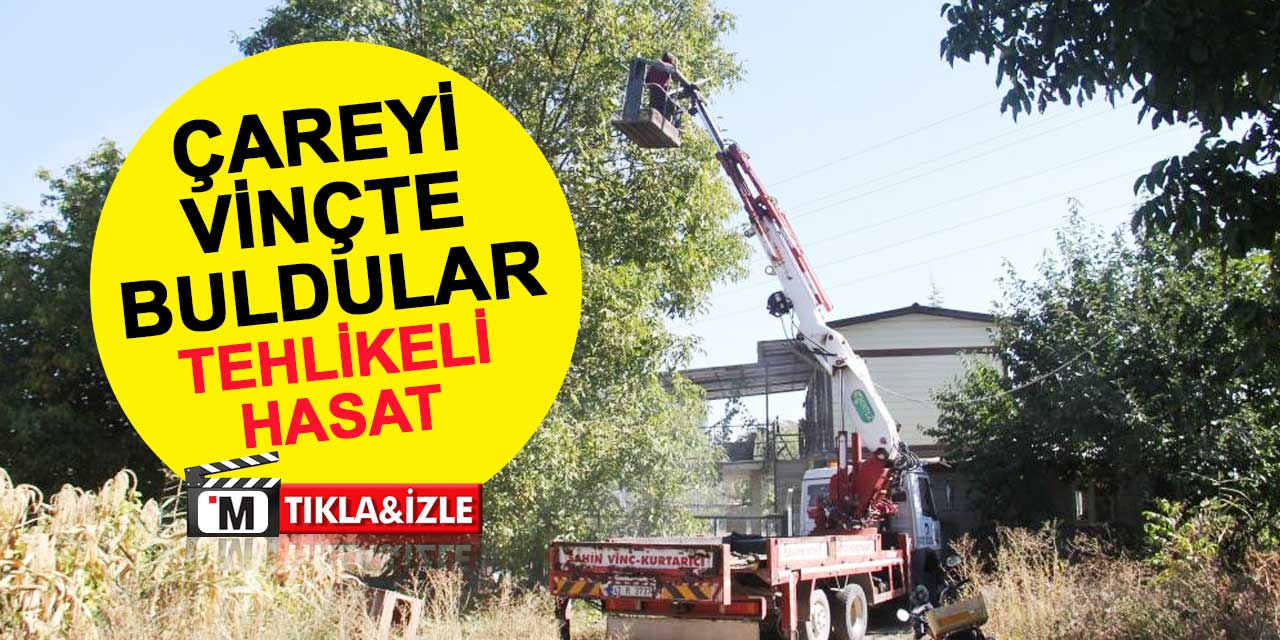 Konya'da tehlikeli hasat! Çareyi vinçte buldular