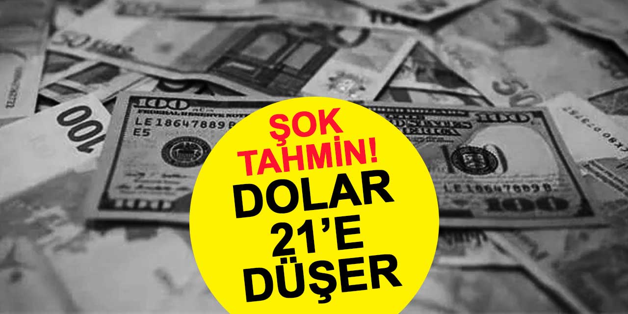 Ünlü ekonomistin 'dolar 21'e düşer' tahmini tutar mı?