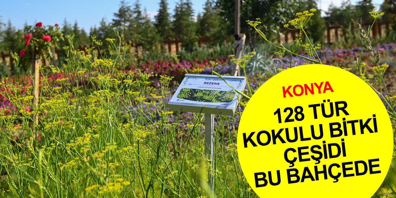 Konya'nın yeni tema parkı Koku Bahçesi ziyaretçilerini bekliyor