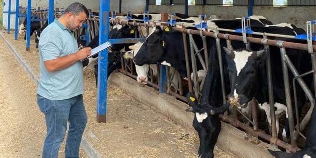 Beyşehir'de hayvancılık yapan işletmelere hastalık denetimi