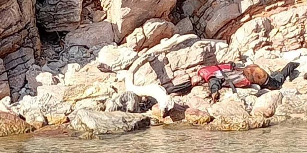 Bayrak kontrolüne gittikleri Karaada'da cansız beden buldular