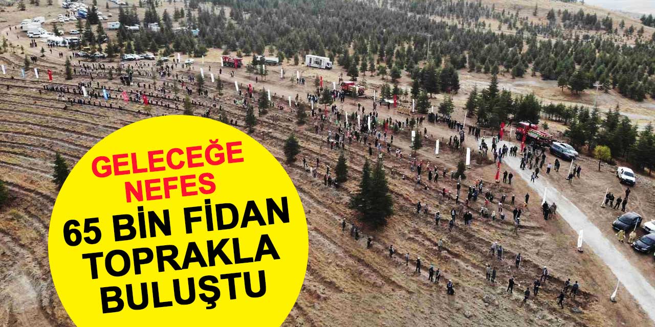 Konya'da geleceğe nefes: 31 ilçede 65 bin fidan toprakla buluştu