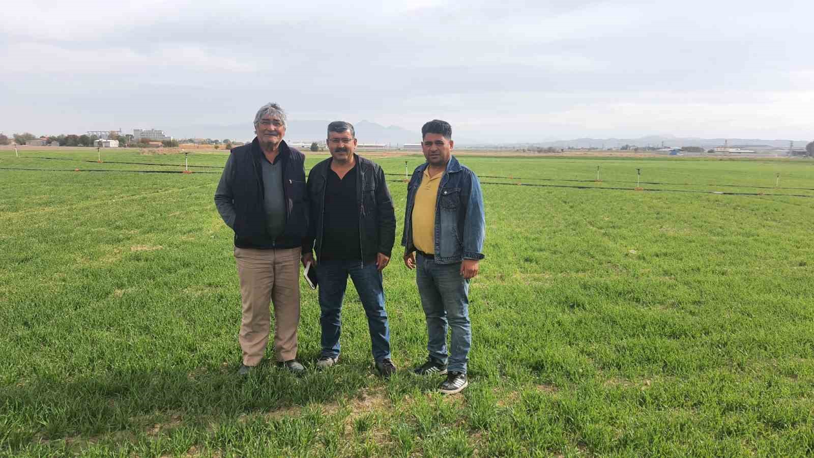 Konya'nın verimli topraklarında mısır ve şekerpancarı hasadı devam ediyor
