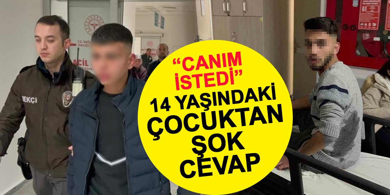 Abisini bıçaklayan 14 yaşındaki çocuk 'canım istedi' dedi