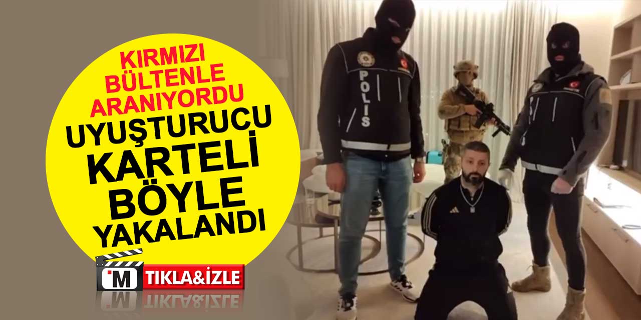 Interpol'ün kırmızı bültenle aradığı uyuşturucu 'Karteli' Nenad Petrak Türkiye'de yakalandı