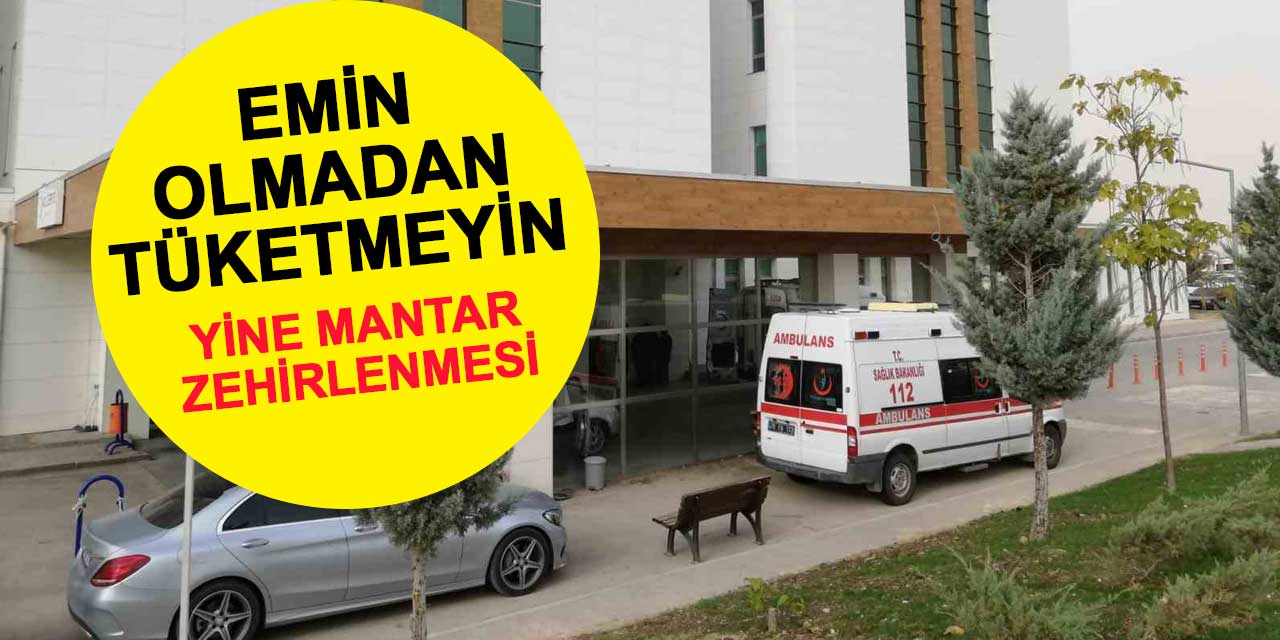 Karaman’da bir mantar zehirlenmesi daha: Kadının tedavisi devam ediyor