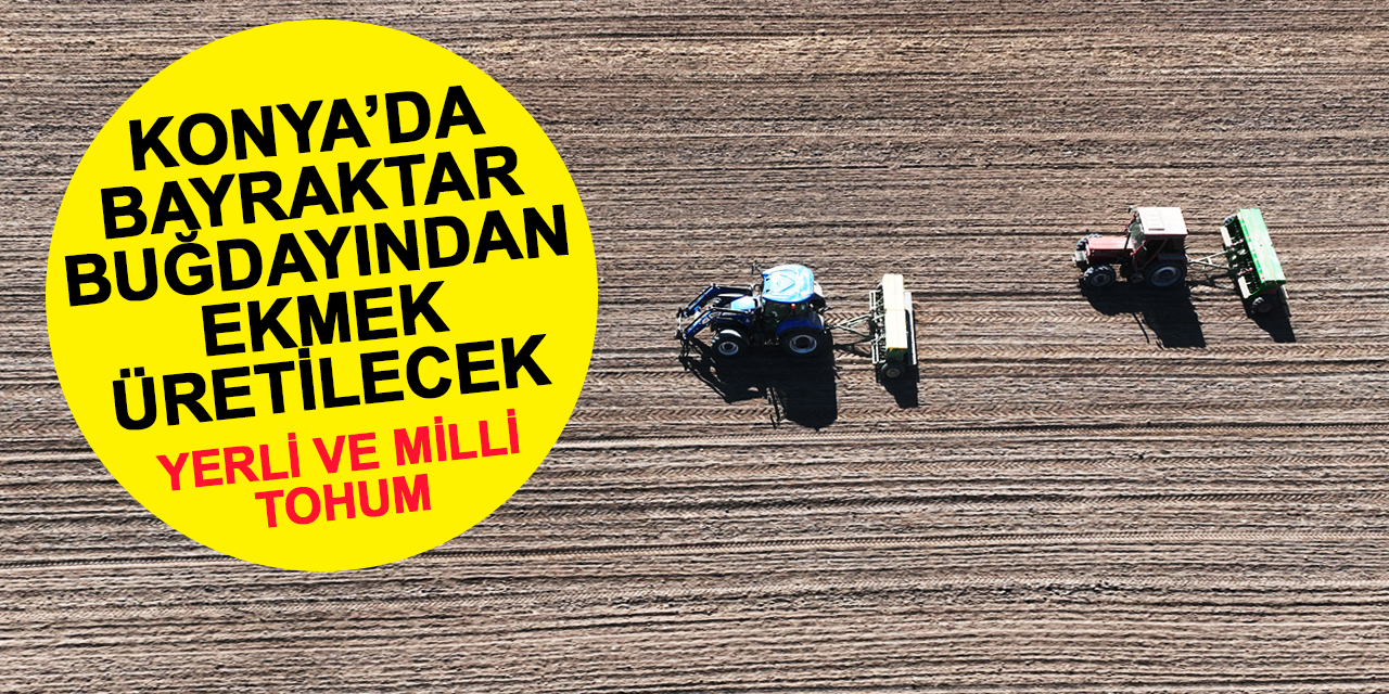 Konya'da 'Bayraktar' buğdayından ekmek üretilecek