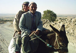 53 sene Dile kolay