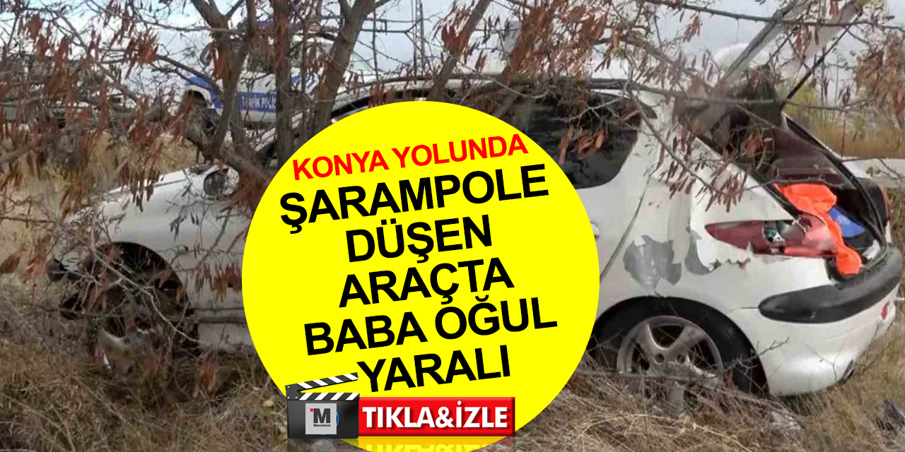 Aksaray-Konya yolunda şarampole düşen araç ağaca çarptı! Baba ve oğlu yaralı