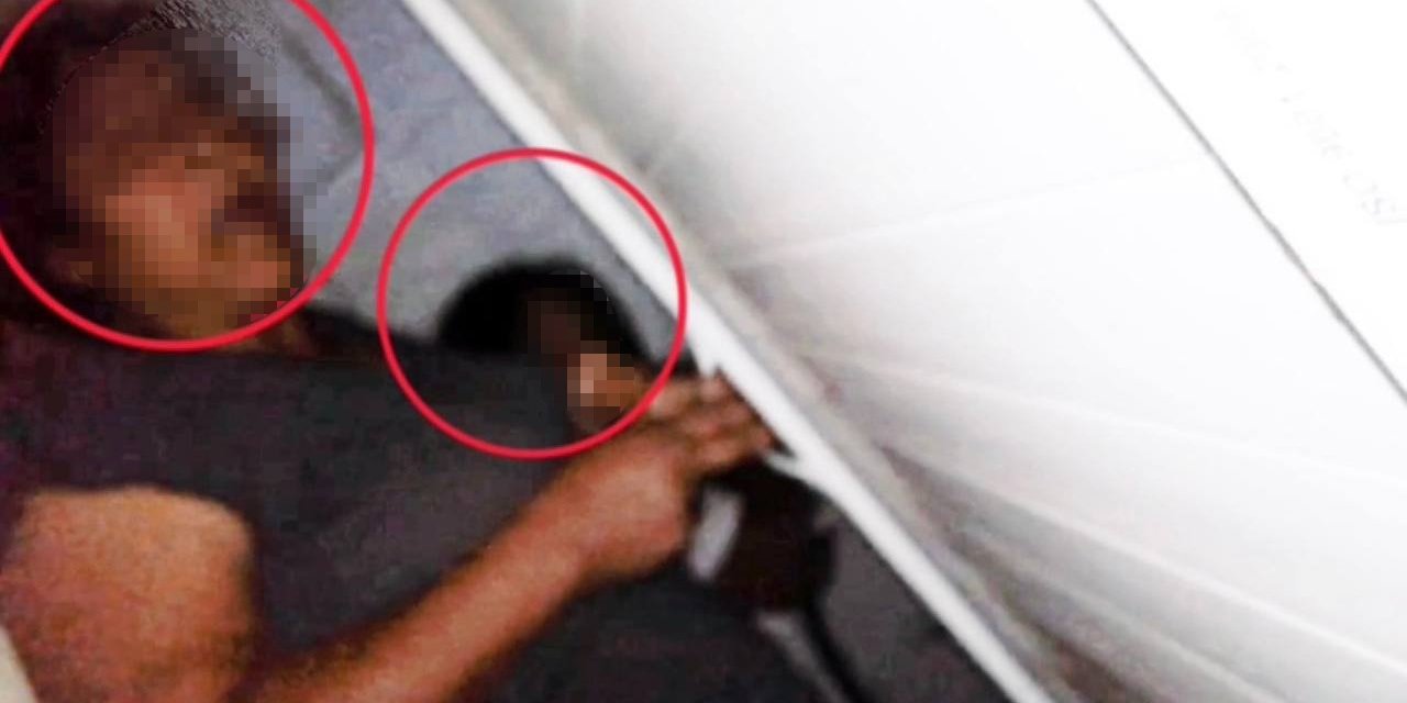 Hırsızlıktan aranan kumalar gizli bölmede yakalandı