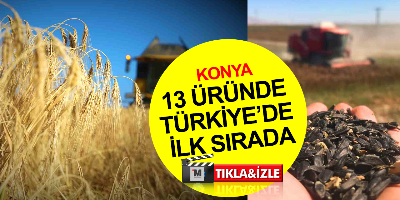 Konya 13 tarım ürününde üretimde Türkiye’de ilk sırada