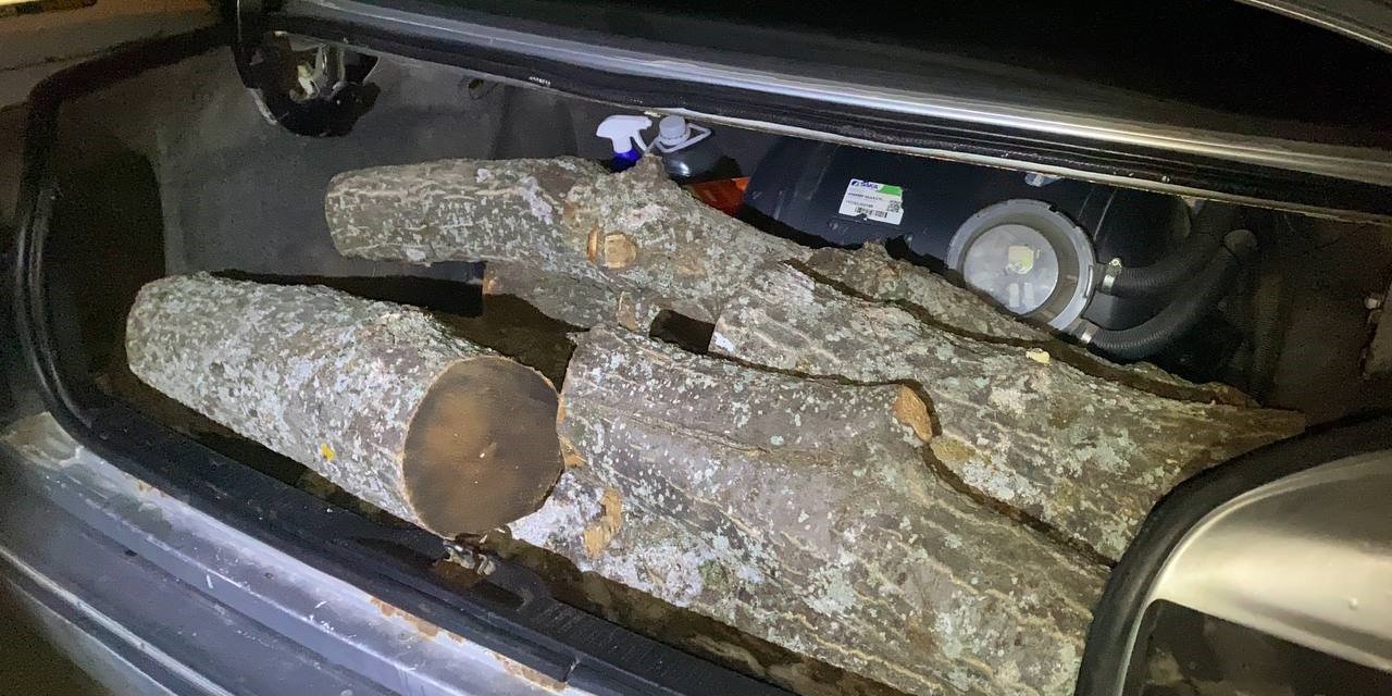 Pide salonunun odunlarını çalarken suçüstü yakalandı