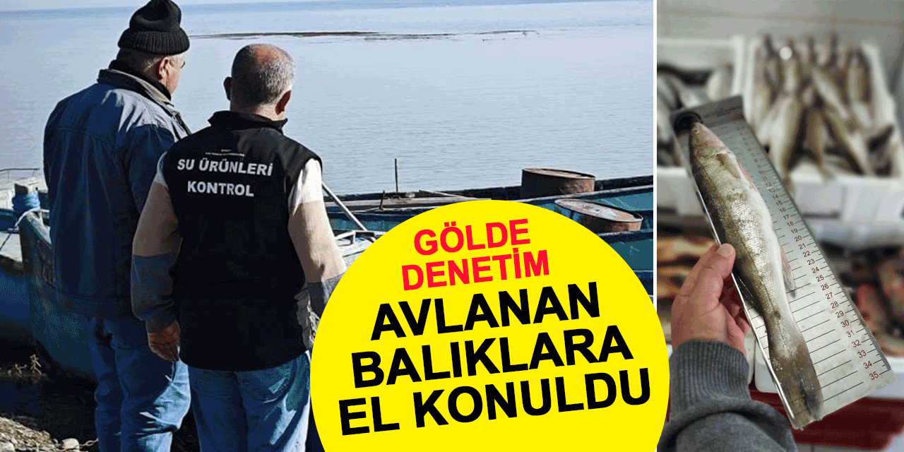Beyşehir Gölü'nde yağ balığı denetimi: Avlanan balıklara el konuldu
