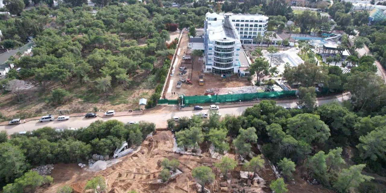 Sorgun Çamlığı'ndaki ağaçları kesip yerine egzotik ağaçlar diken 5 yıldızlı otelin başı dertte