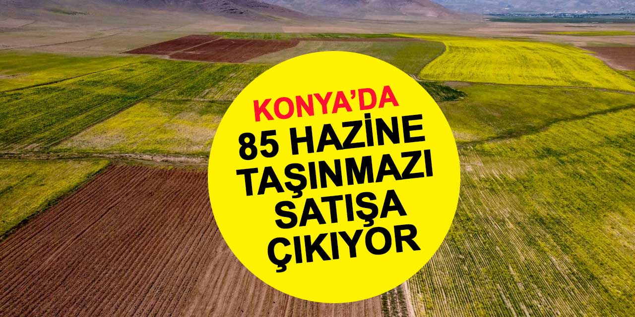 Konya Kulu'da 85 Hazine Taşınmazı Açık Artırmayla Satışa Çıkıyor