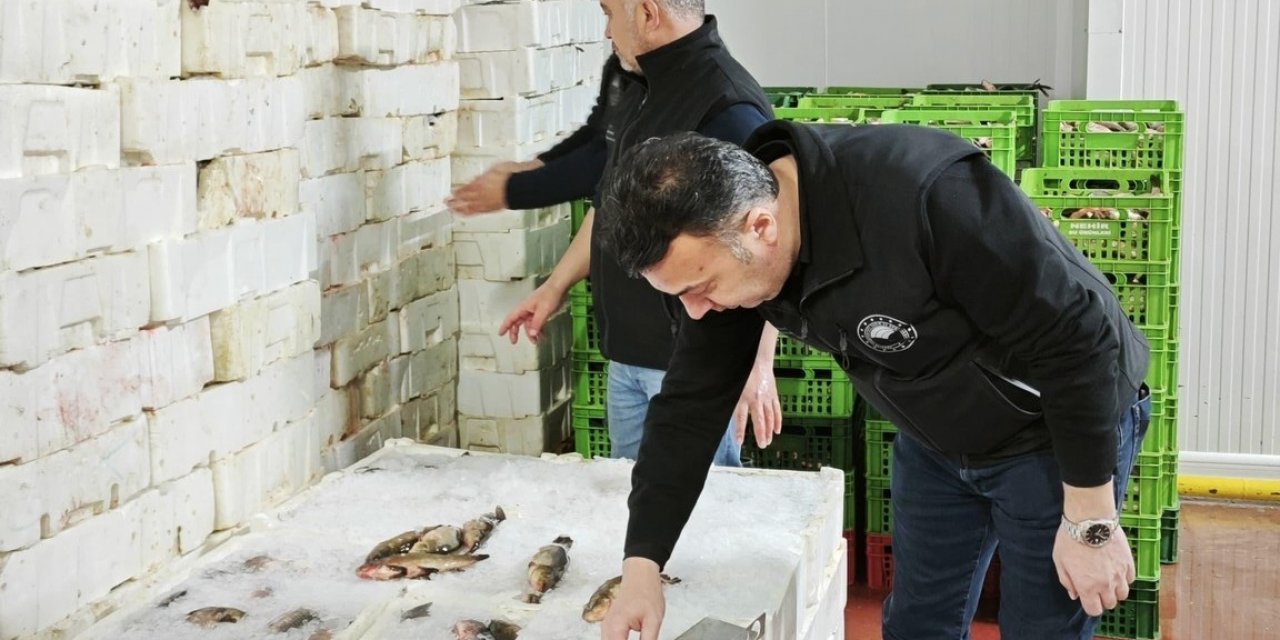 Beyşehir'de Balık İşleme Fabrikalarına Denetim