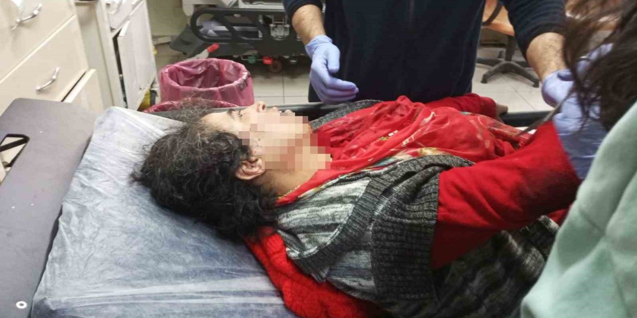 Bir köpek saldırısı daha! Cins köpeklere el konuldu