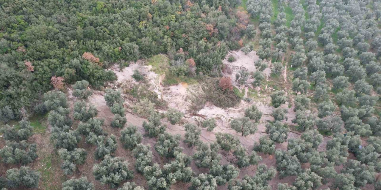 Bursa Beton'un atık mıcırları bahçeyi kuruttu
