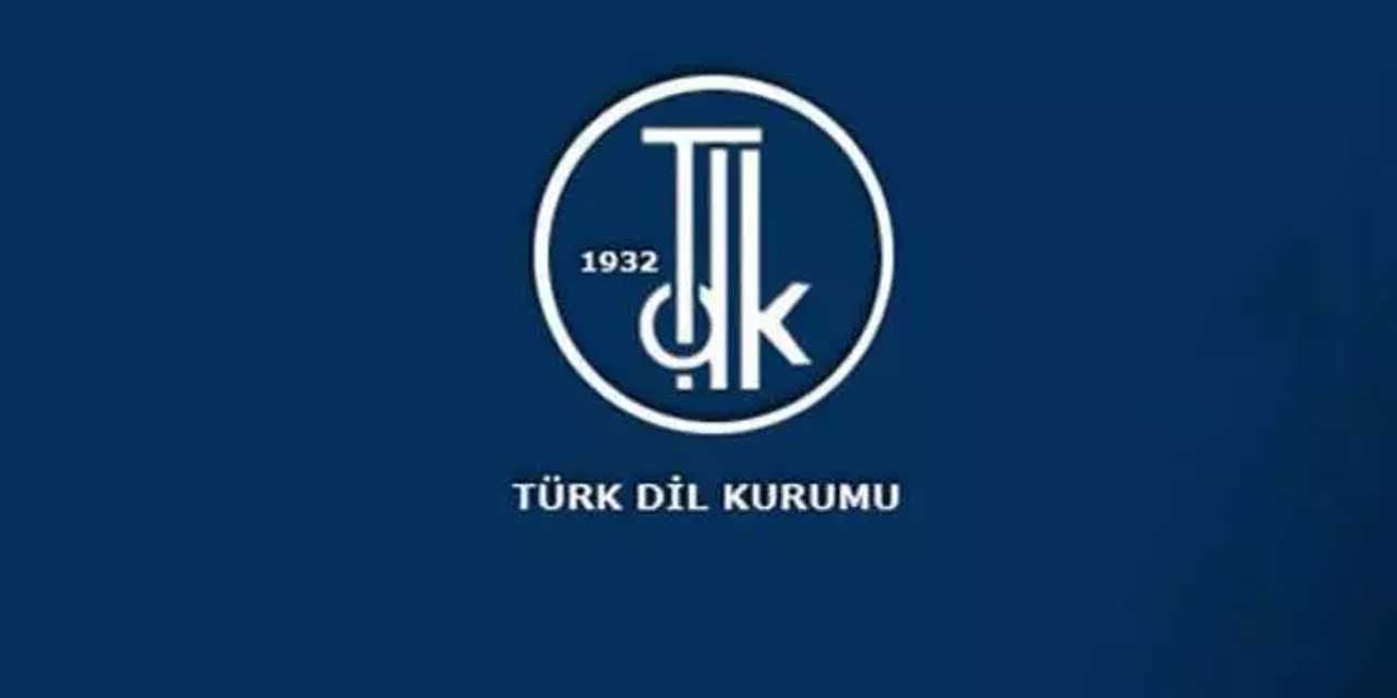 Uydurma Kelimeler TDK Menşeli Değil! Peki şapka işareti kaldırıldı mı?