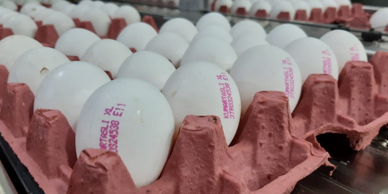 Türkiye'de Aralık Ayında Tavuk Yumurtası Üretimi Arttı, Eti Azaldı