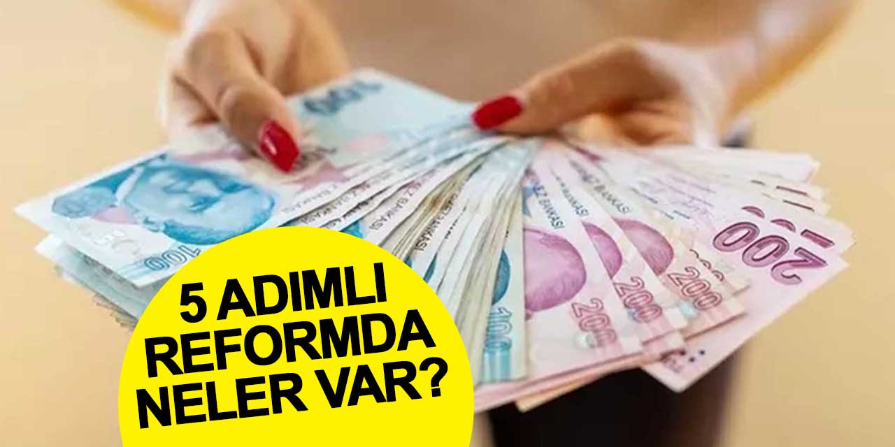 5 adımlı reformda neler var?
