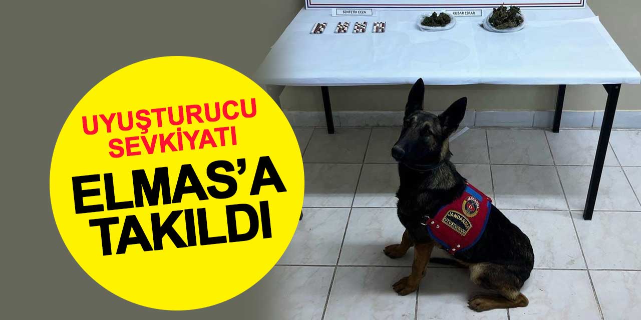 Konya'dan Karaman'a uyuşturucu sevkiyatı 'Elmas'a takıldı