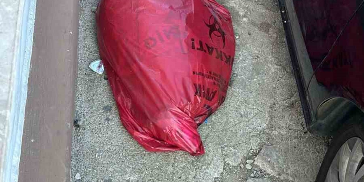 İzmir bu olayı konuşuyor! Köpekler tehlikede mi?