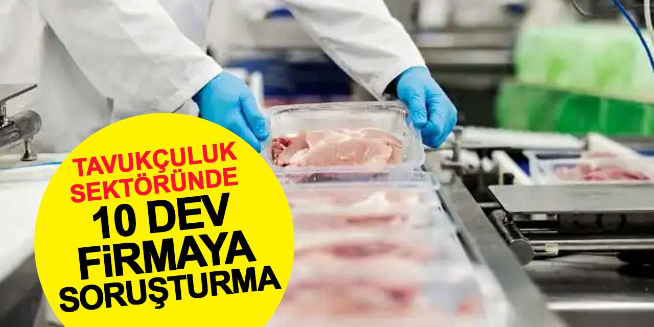 Rekabet Kurumu'ndan tavukçuluk sektörünün 10 dev firmasına soruşturma
