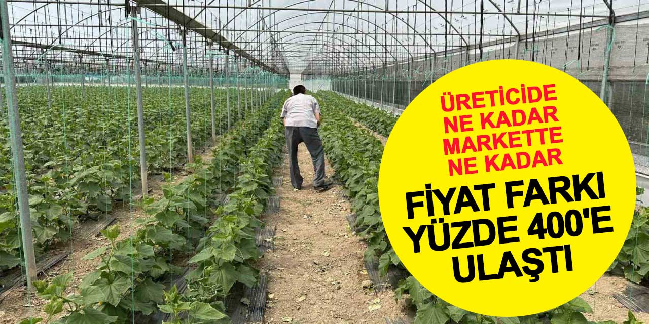 Üretici ve market arasındaki fiyat farkı yüzde 400'e ulaştı