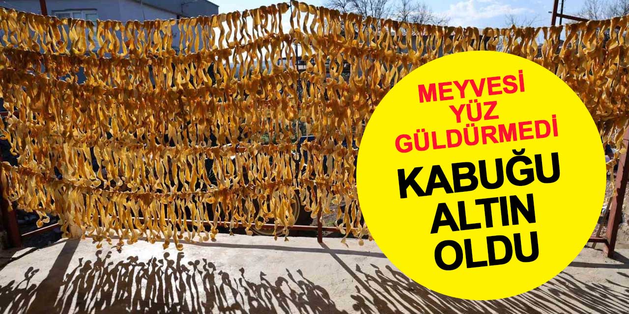 Dalında kalan narenciyenin kabukları, çiftçiye yeni gelir kapısı açtı