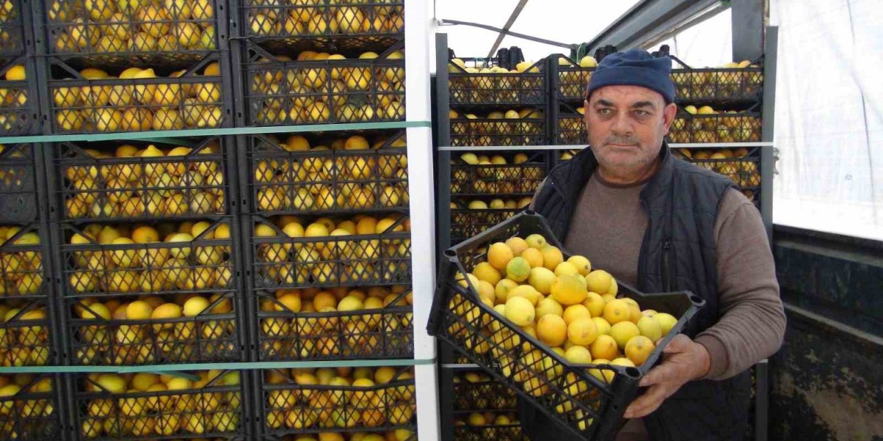 Mersin’den Aksaray’a 20 ton ücretsiz limon gönderildi