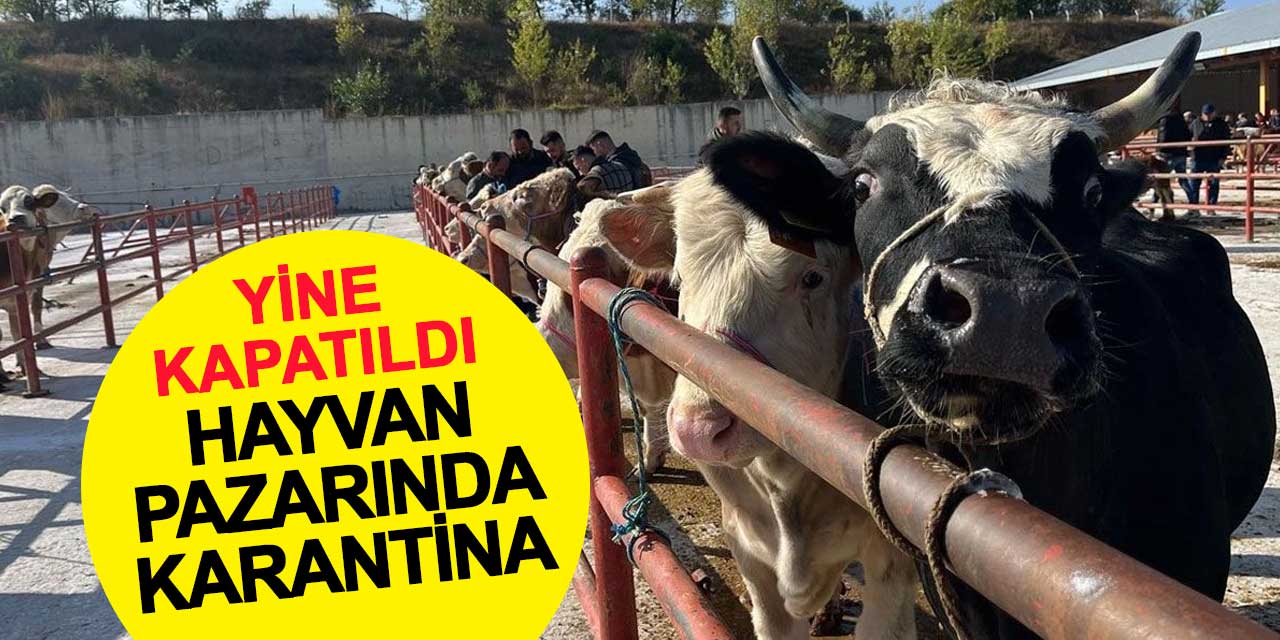 Ereğli Hayvan Pazarı Şap Hastalığı Nedeniyle Yeniden Kapatıldı