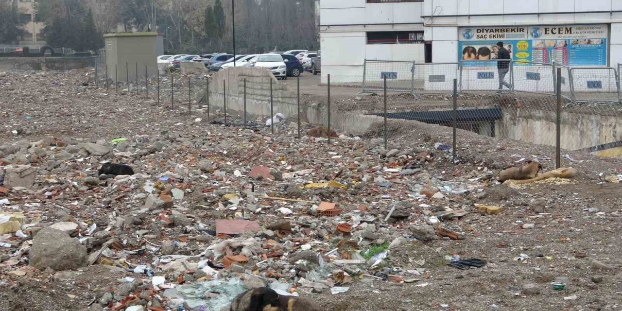 Galeria Sitesi'nin bulunduğu yer sokak köpeklerinin mekanı oldu