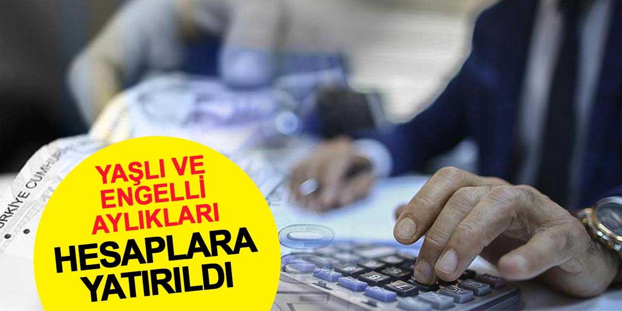 Şubat ayı yaşlı ve engelli aylıkları hesaplara yatırıldı