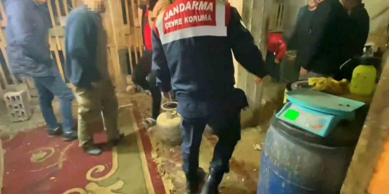 Horoz dövüştürücülerine suçüstü