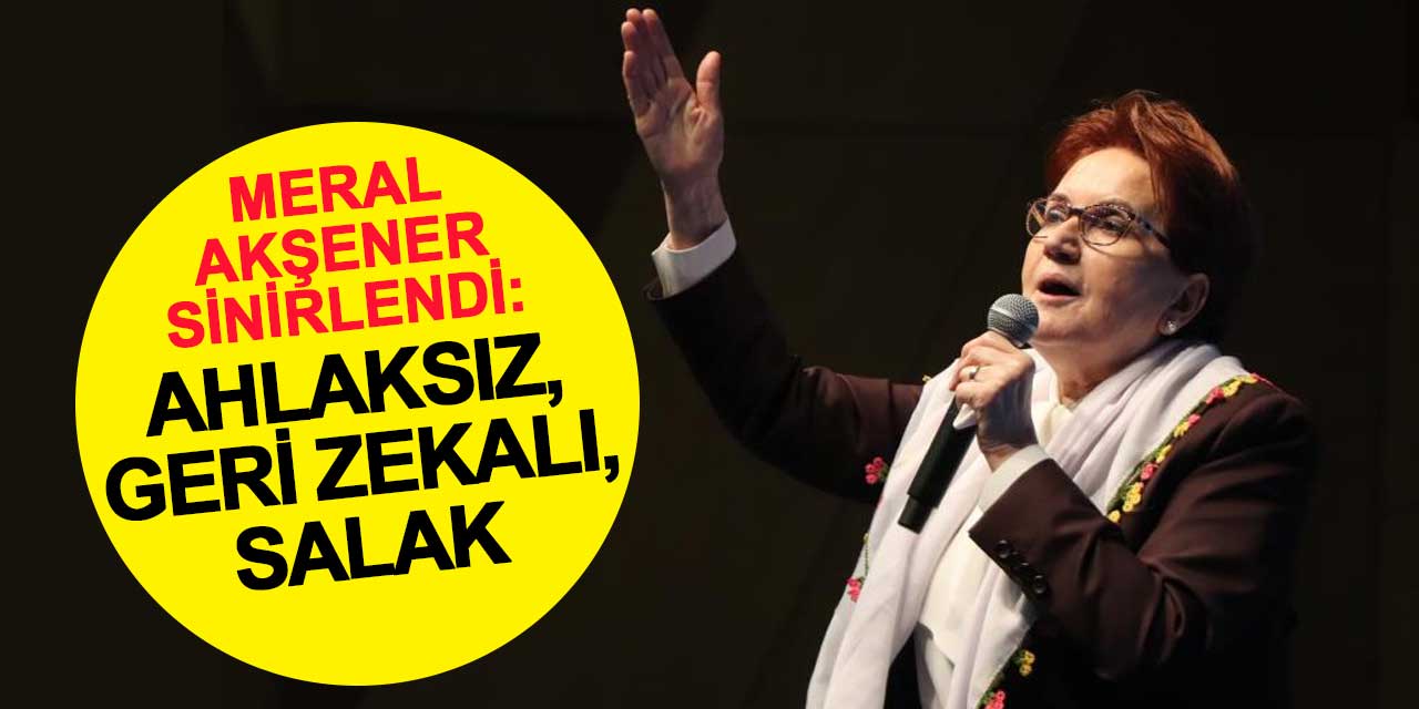 Meral Akşener'i kızdırdılar: Ahlaksız, geri zekalı, salak