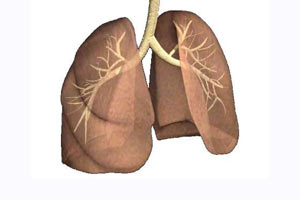 Tütünden sonra en zararlı 'Absest'