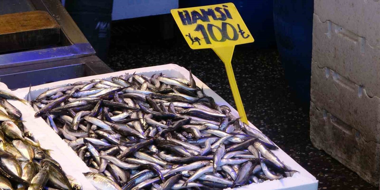Hamsi, yasak başlamadan sezonu kapattı