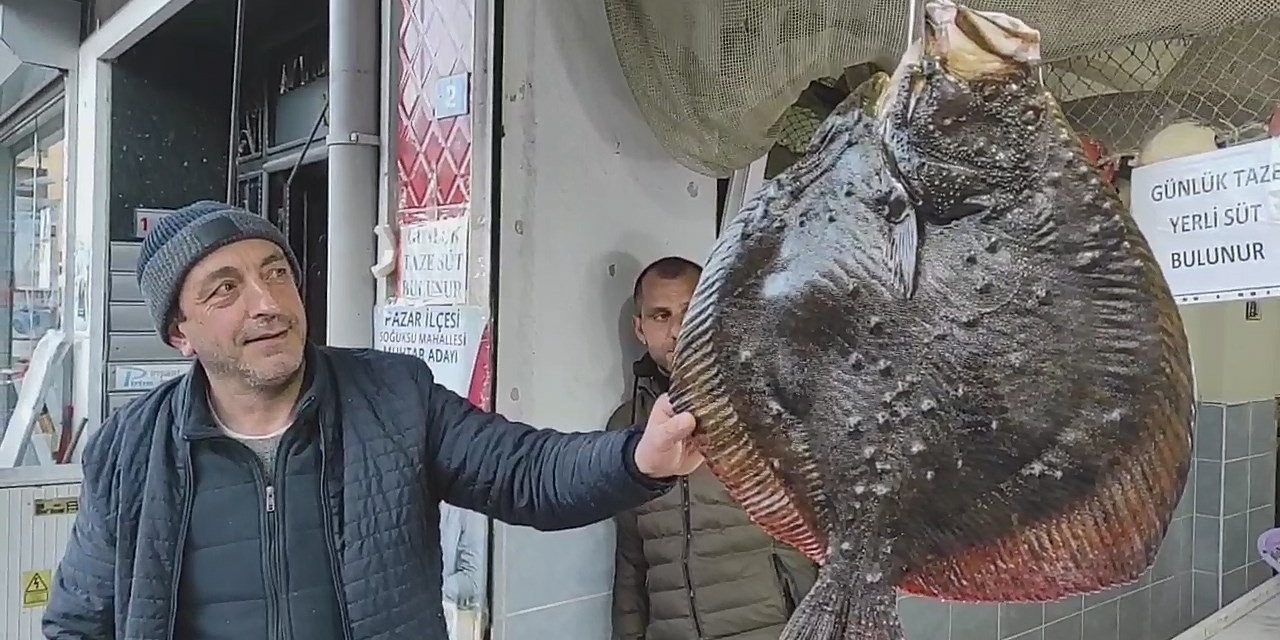 7 kiloluk kalkan balığı 7 bin liradan satıldı