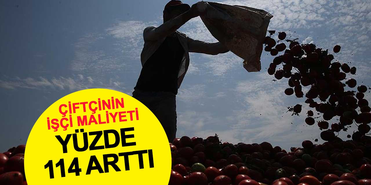 Çiftçinin işçi maliyeti yüzde 114 arttı