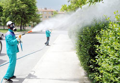 Haşere zehirlenmesine dikkat!