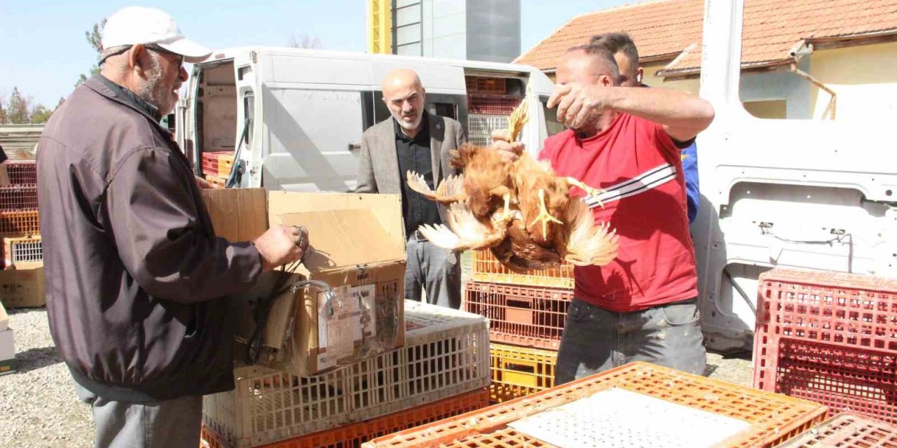 Karaman Ziraat Odası köylülere tavuk ve horoz dağıttı