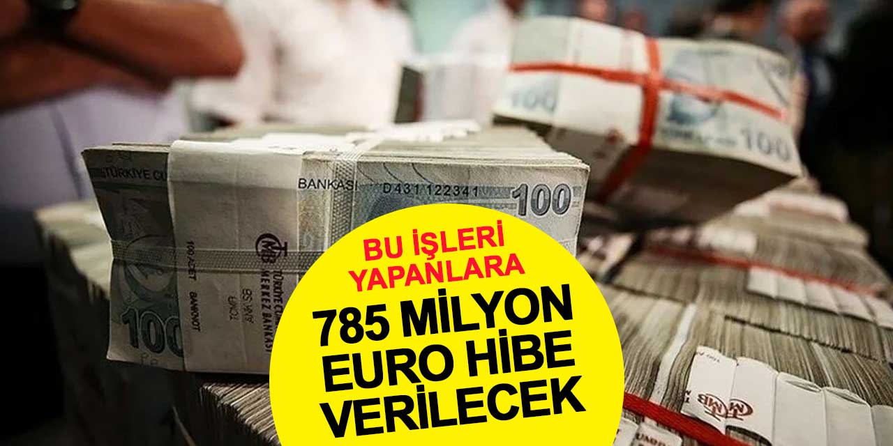 Bu işleri yapanlara 785 milyon Euro hibe verilecek